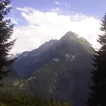 Seiringer *
