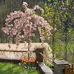 Lejlighed Seiringer Finkenberg