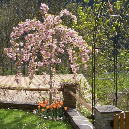 Daire Seiringer Finkenberg