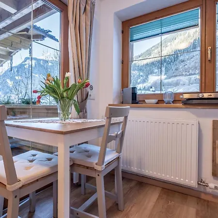 Seiringer Apartment Finkenberg